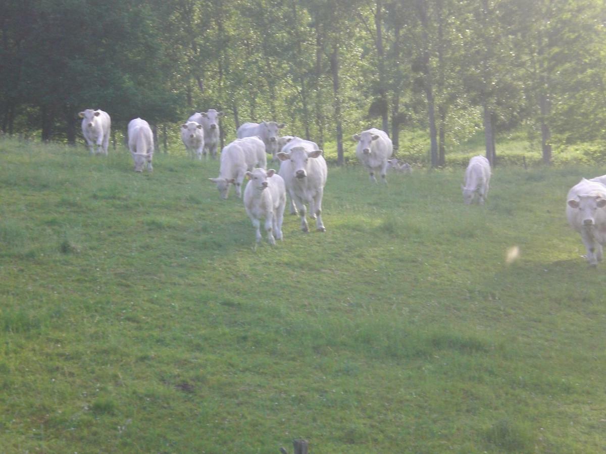 Chez Mimoune Ferienhaus Trezioux